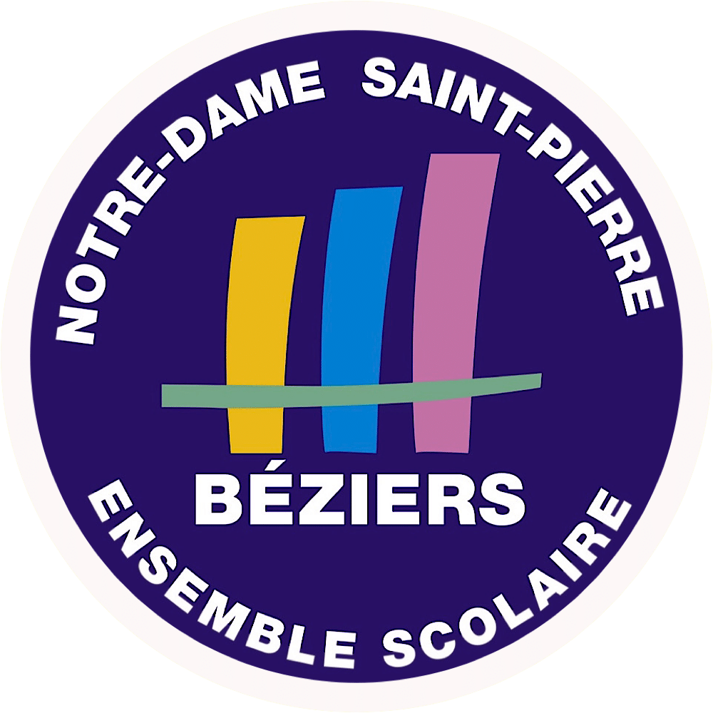 logo ensemble scolaire NDSP